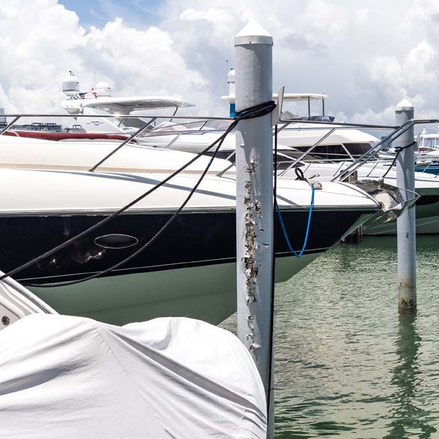 A scraped, bare marina piling right beside a docked yacht